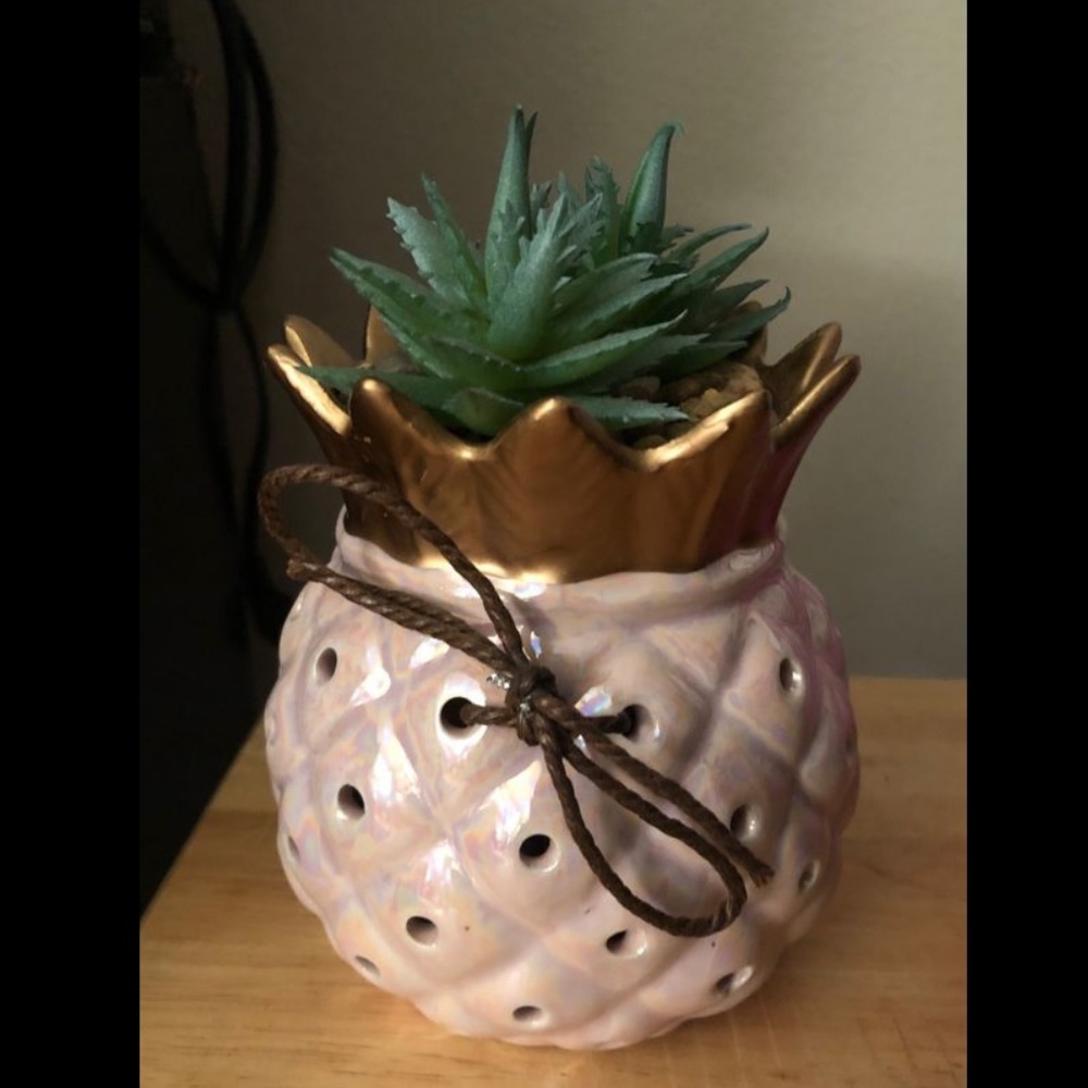 Pineapple and succulent decoration